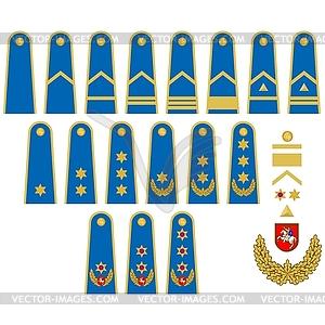 Lithuanian Air Force insignia - vector clipart