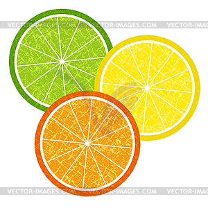 Colorful citrus slices set - vector clipart