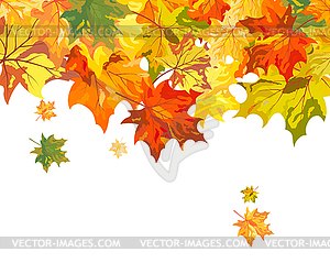 Maple фона - векторизованное изображение