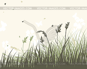 Summer meadow - vector image