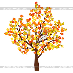 Autumn maple tree - vector image