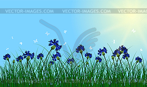 Clovers on summer background - vector EPS clipart