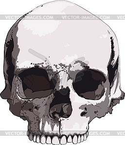 Old skull - vector clipart