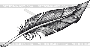 Quill pen - royalty-free vector image