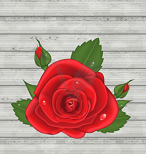 Red rose for Valentine Day on wooden background - vector clipart