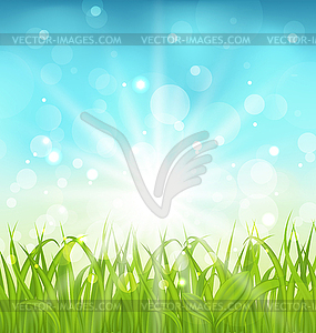 Spring nature background with grass - vector image