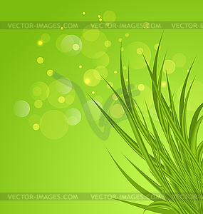 Spring background background with green grass - vector image