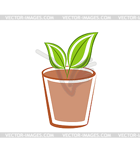 Flowerpot with green leaves plants - royalty-free vector image