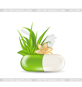 Natural medical pill with flower, leaves, grass - vector clipart