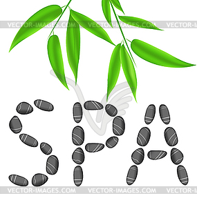 Lettering spa with bamboo leaves - vector image