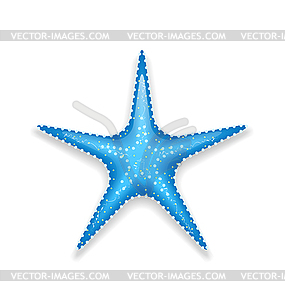 Blue starfish - vector image