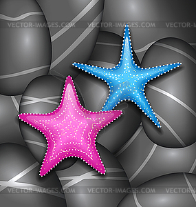 Starfishes among sea pebble stones - vector clipart