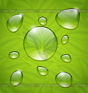 Water drops on fresh green leaves texture - vector clipart