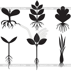 Silhouette sprout set - vector clipart