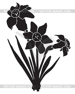 Daffodils bouquet - vector clipart