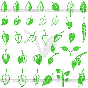 Leaves emblem set - royalty-free vector clipart