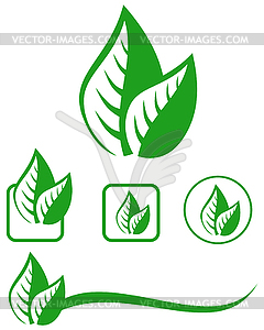 Leaves emblem set - royalty-free vector clipart