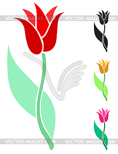 Beautiful tulip flower - vector image