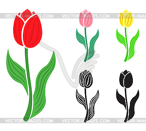 Set tulip flower - vector image