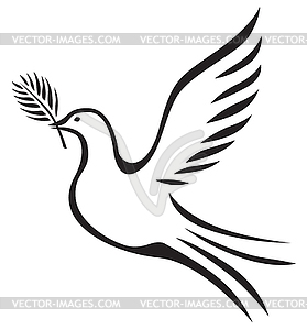 Dove with branch - vector image
