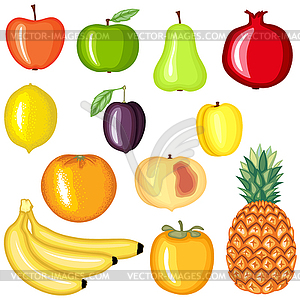 Cartoon fruit set - vector image