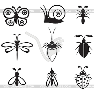 Insects set - vector image