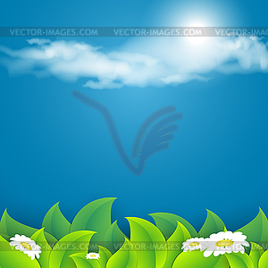 Abstract summer time background - vector image