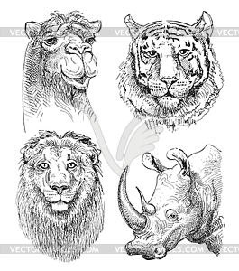 Set of safari head animals, black and white sketch - vector image