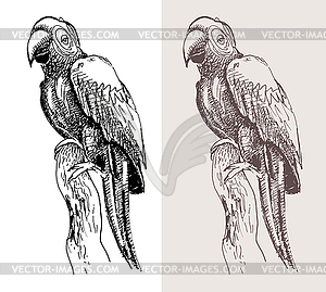 Оригинальные произведения искусства попугай, черный эскиз рисунок птицы - клипарт в векторном виде