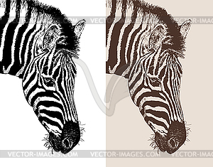 Artwork head profile zebra - vector clipart / vector image