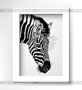 Artwork head profile zebra, digital sketch of animal - vector clipart