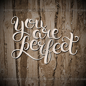 You are perfect hand lettering inscription - vector image