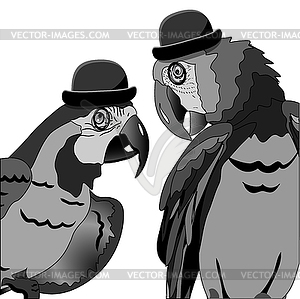Dispute of Two Parrots - vector image