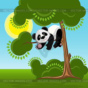 Panda on Tree - vector image