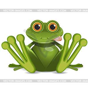 Stock Fat Frog - vector image