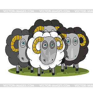 Stock Herd of Rams - vector clipart