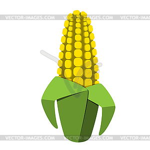 Ripe Corncobs of Corn - royalty-free vector image