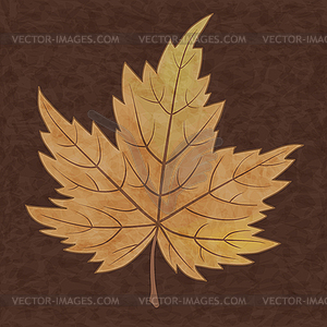 Beautiful autumn leaf - vector image