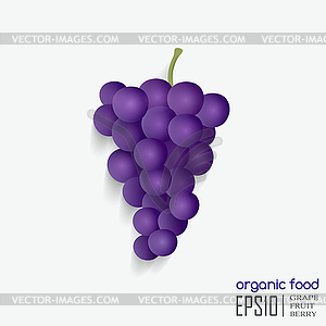 Grape - vector clipart