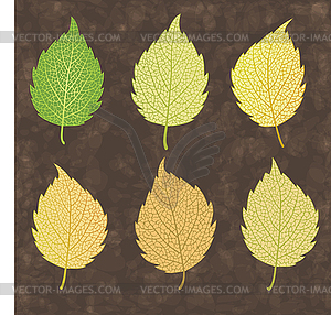 Colorful autumn leaf - vector clip art