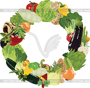 Range of vegetables on white background  - vector image