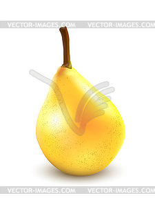 Pear - vector clipart