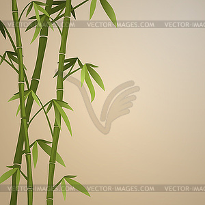 Background with bamboo stems - vector image