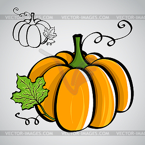 Sketch style vegetables - pumpkin - vector clip art