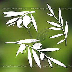 Graphic olive tree branches - vector image