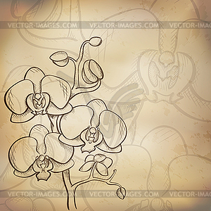 Sketch orchid background - vector clipart