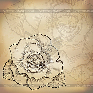 Эскиз роза фон - клипарт в векторе / векторное изображение