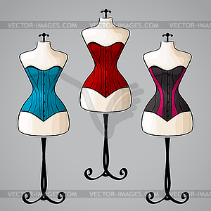 Corset on female mannequin - vector image