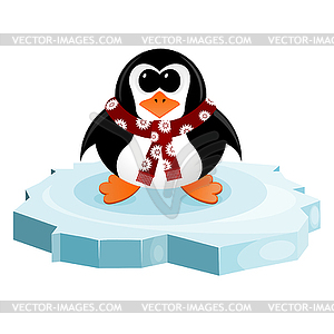 Penguin on an ice floe - color vector clipart