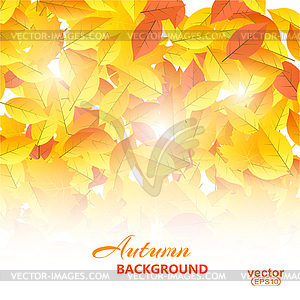 Autumn background with leaves.  - vector clip art